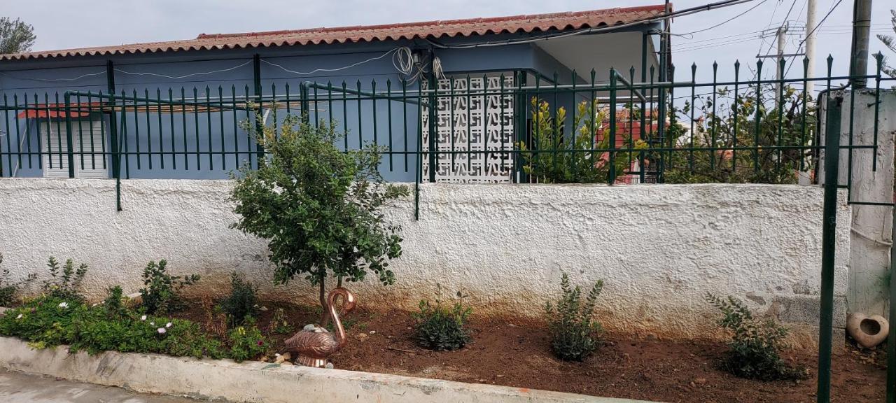 아르테미다 Elena'S Family House 아파트 외부 사진